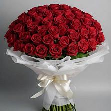 Букет 101 Красная роза Блэк Мэджик в Колодезном