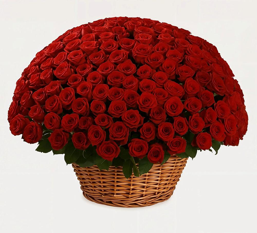 Премиум букет из: Розы в Колодезном