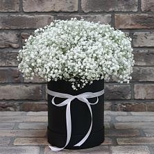 Цветочная композиция из Гипсофила в шляпной коробке в Колодезном